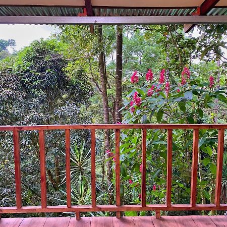 Princesa De La Luna Ecolodge La Fortuna 外观 照片