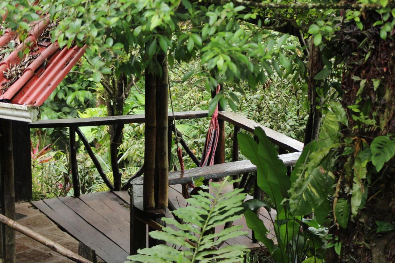 Princesa De La Luna Ecolodge La Fortuna 外观 照片