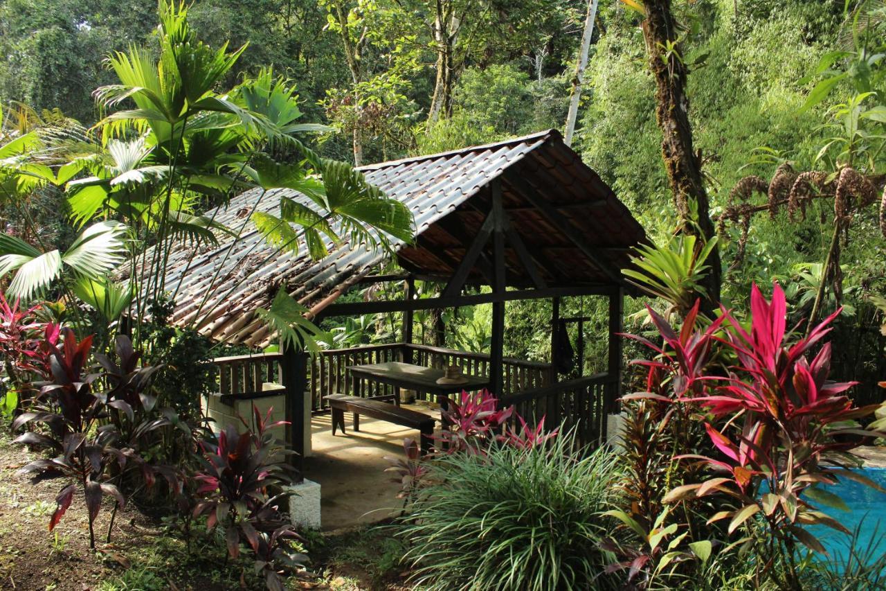 Princesa De La Luna Ecolodge La Fortuna 外观 照片