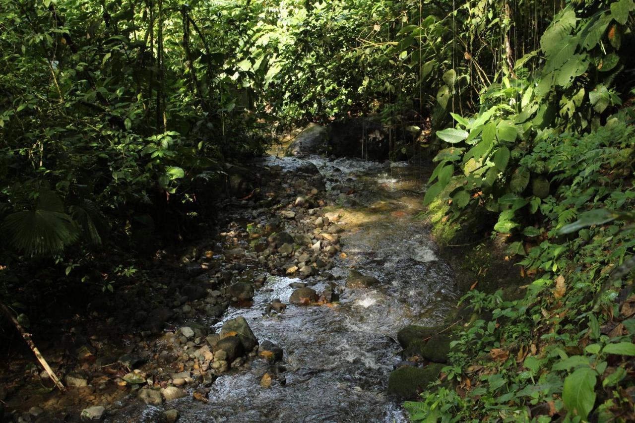 Princesa De La Luna Ecolodge La Fortuna 外观 照片