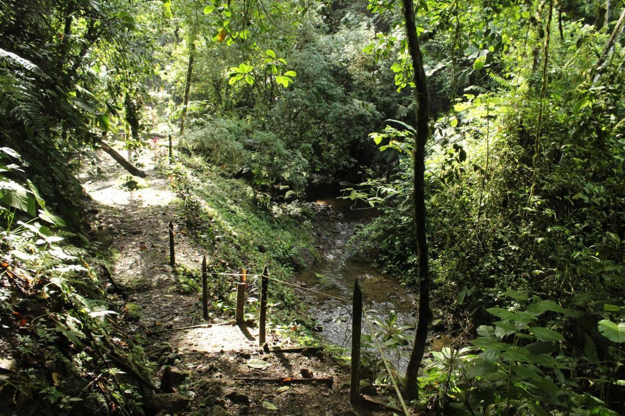 Princesa De La Luna Ecolodge La Fortuna 外观 照片