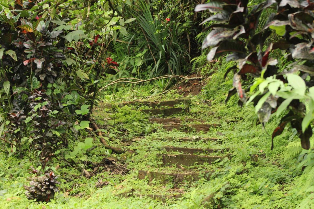 Princesa De La Luna Ecolodge La Fortuna 外观 照片