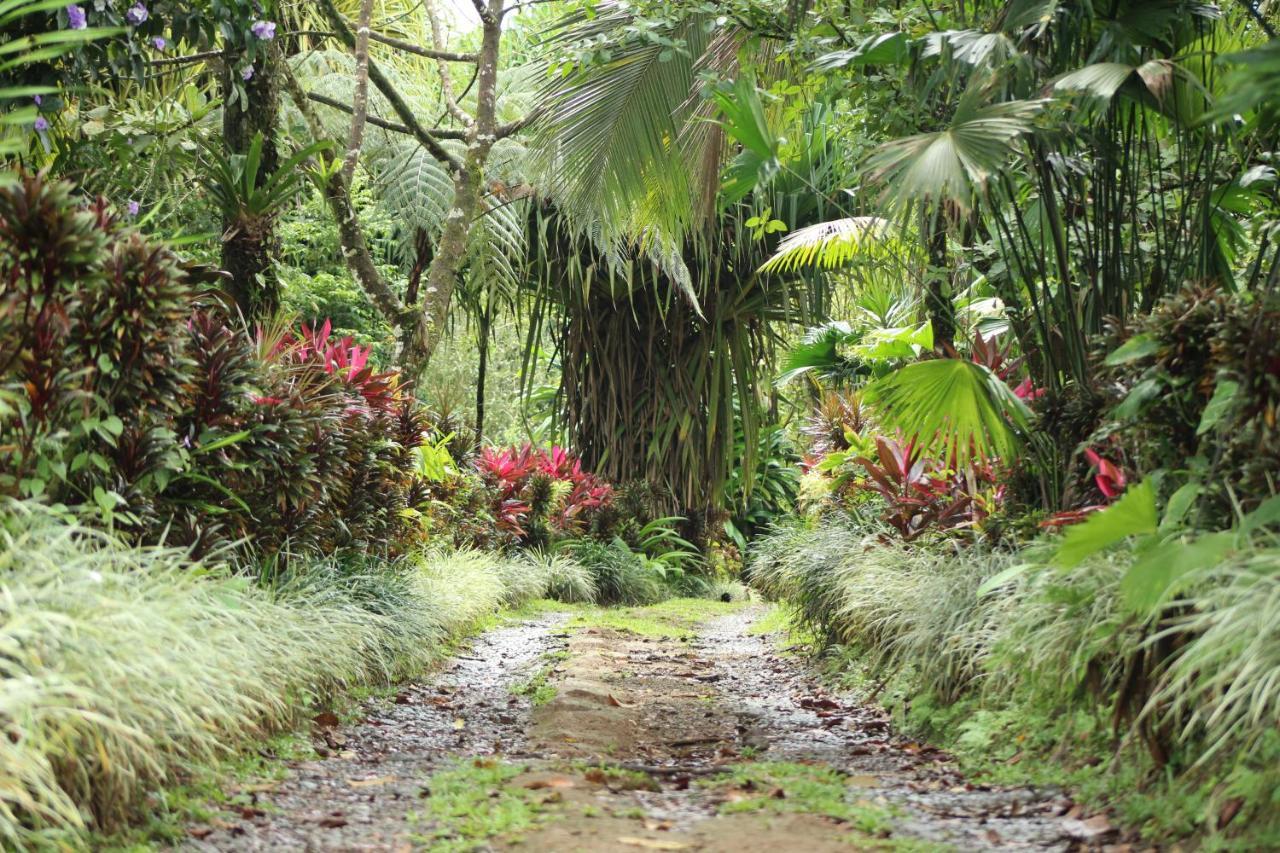 Princesa De La Luna Ecolodge La Fortuna 外观 照片