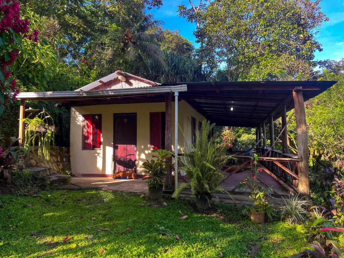 Princesa De La Luna Ecolodge La Fortuna 外观 照片