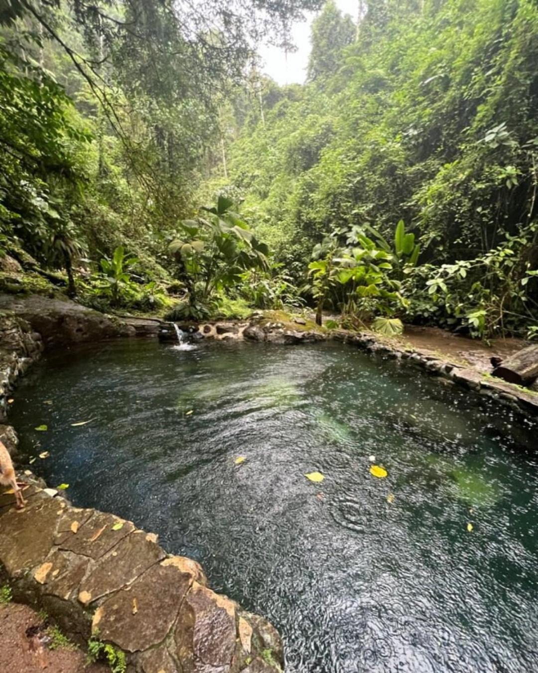 Princesa De La Luna Ecolodge La Fortuna 外观 照片
