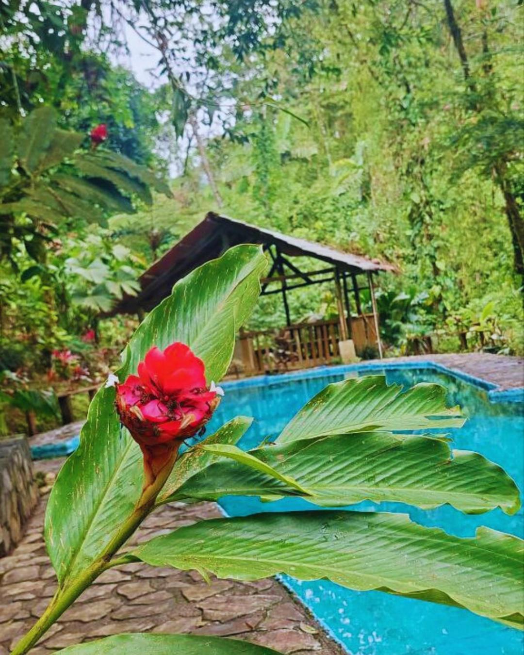 Princesa De La Luna Ecolodge La Fortuna 外观 照片