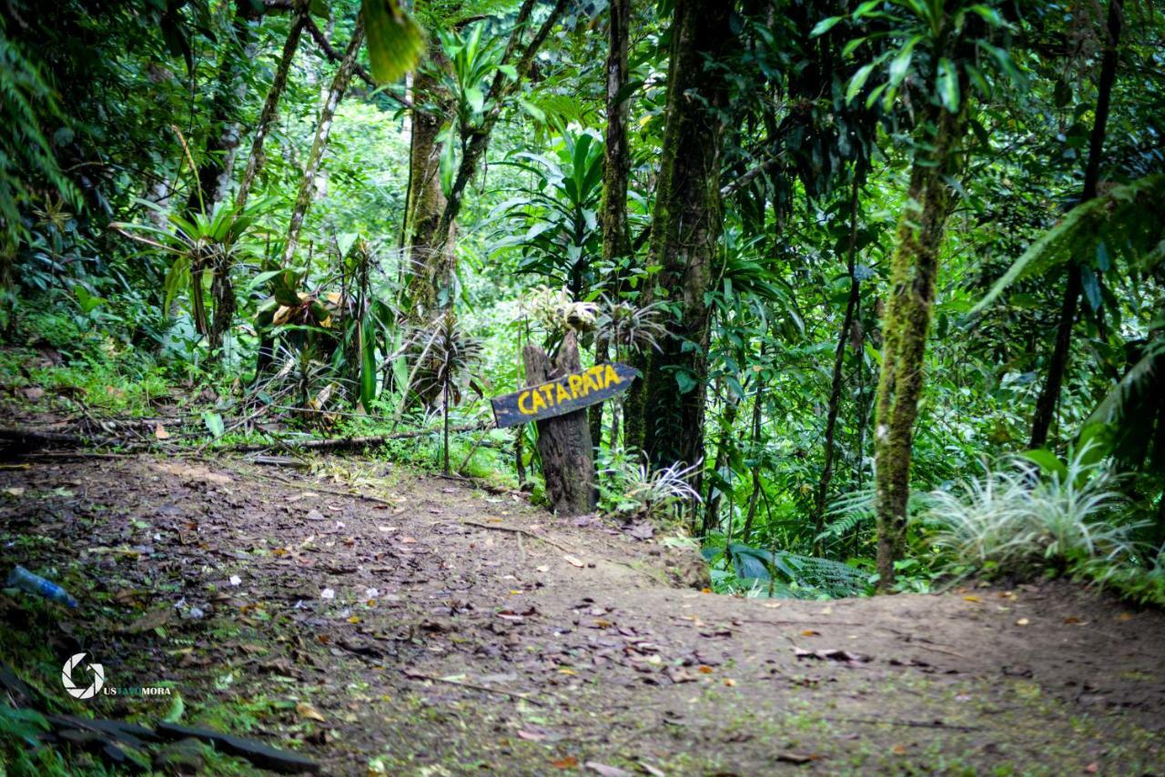 Princesa De La Luna Ecolodge La Fortuna 外观 照片