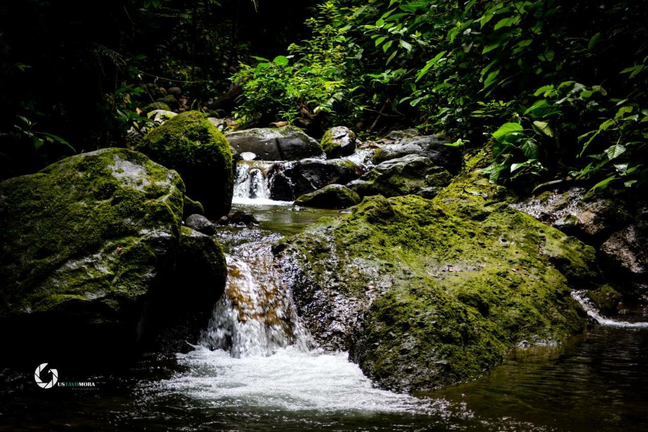 Princesa De La Luna Ecolodge La Fortuna 外观 照片