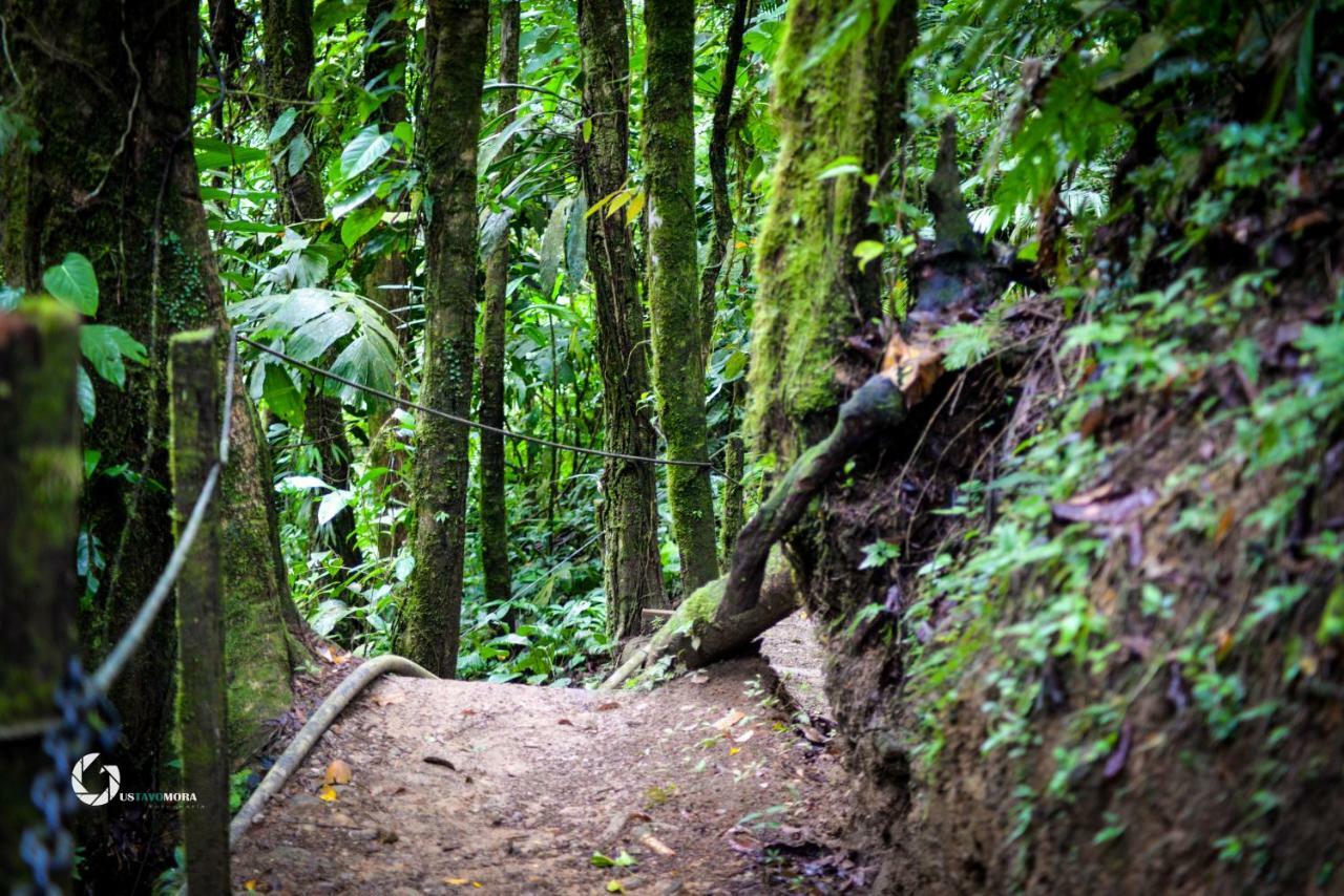 Princesa De La Luna Ecolodge La Fortuna 外观 照片