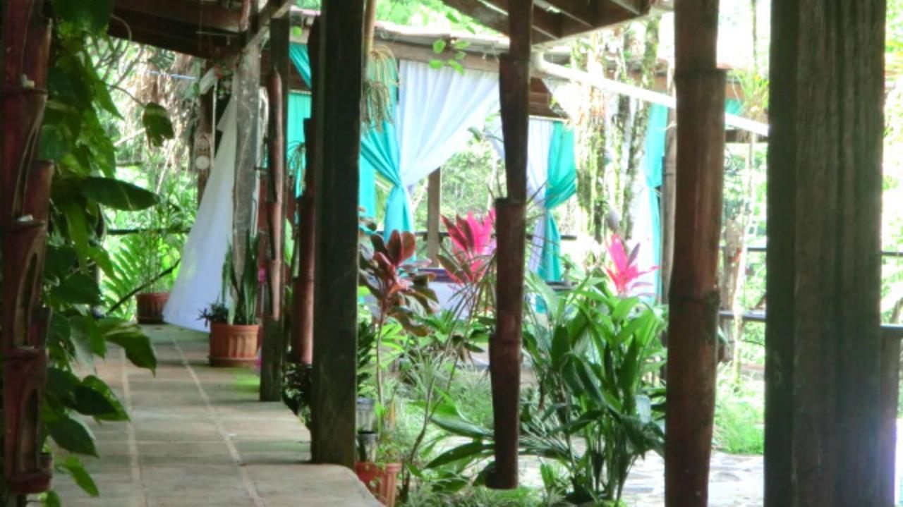 Princesa De La Luna Ecolodge La Fortuna 外观 照片